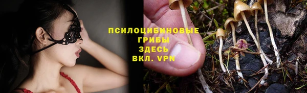 прущая мука Коряжма